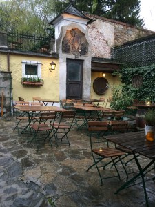 Weingarten in Vienna, Austria