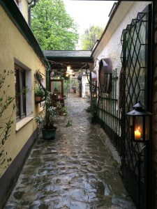 Weingarten in Vienna, Austria