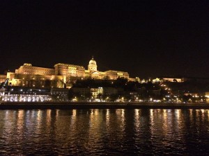 Budapest Castle at night from the Danube River