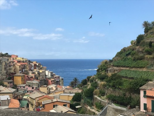 Cinque_terre_italy_manarola_trail_view